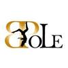 Voir la fiche de l'école Black Pole Studio Logo Black Pole Studio