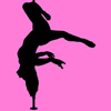 Dragon Pole Dance Logo Dragon Pole Dance