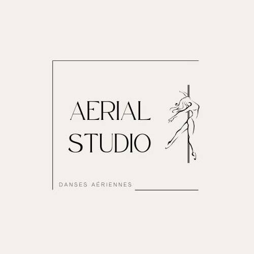 Aerial studio Albi Écoles Pole Dance